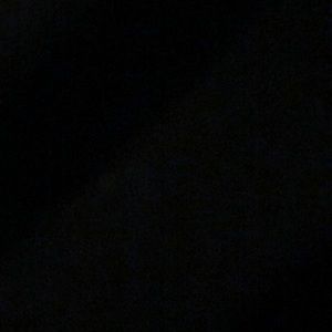 Meet your Posher, Bobbie